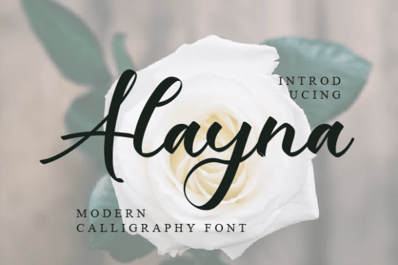 Alayna: A Designer's Honest Review for Branding
