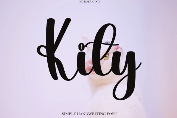 Kity: The Handwritten Font That Transforms Small Business Brands