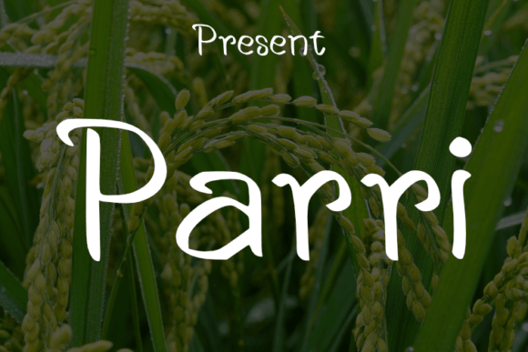 Parri: A Modern Handwritten Font for Editorial Elegance