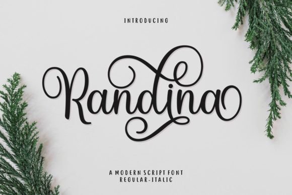 Randina Font: Elevate Your Brand with Elegant Script Typography